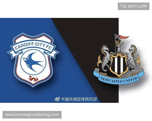 卡迪夫城俱乐部新赛季备战提速引援规划与年轻化战略并进稳步推进